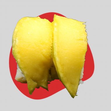 48a Veggie Phila Mango